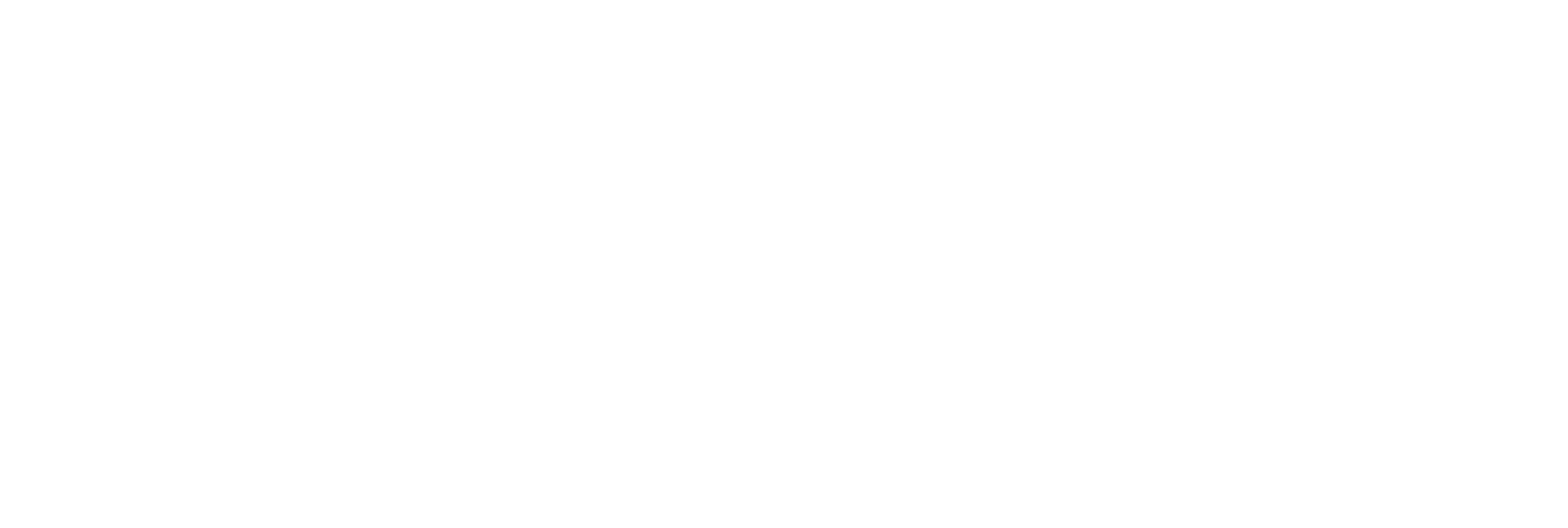 ICMM 2024